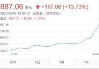 沙特某基金会提前抛空特斯拉股票 完美错过新年暴涨