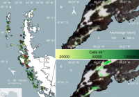全球变暖对气候造成了不小的影响 南极突然出现了怪异“绿雪”