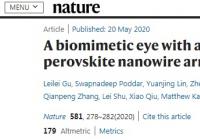 能帮助视觉受损者重见光明的技术：除了角膜移植还有仿生眼