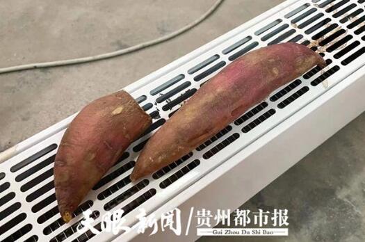 QQ截图20211025083307