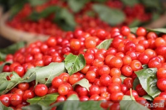 德昌：樱桃果甜却不好卖，角半村成知名新电商村 