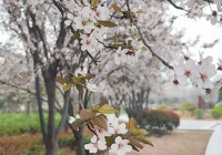 五一假期江苏省旅游市场以“微度假”为主 亲子游愈发普遍