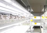 宁夏加速县域科技成果引向生产力转化 为县域发展注入活力 宁夏加速县域科技成果引向生产力转化 为县域发展注入活力