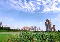 “露营热”让资本看到了商机 中上游制造企业迎来新风口