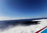 开展和美海岛创建示范工作 提升人居环境和公共服务水平