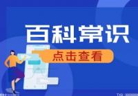 单身证明在哪里开?单身证明和未婚证明有什么区别? 单身证明在哪里开?单身证明和未婚证明有什么区别?