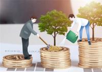 碳纳米管指的是什么?碳纳米管概念股有哪些? 碳纳米管指的是什么?碳纳米管概念股有哪些?